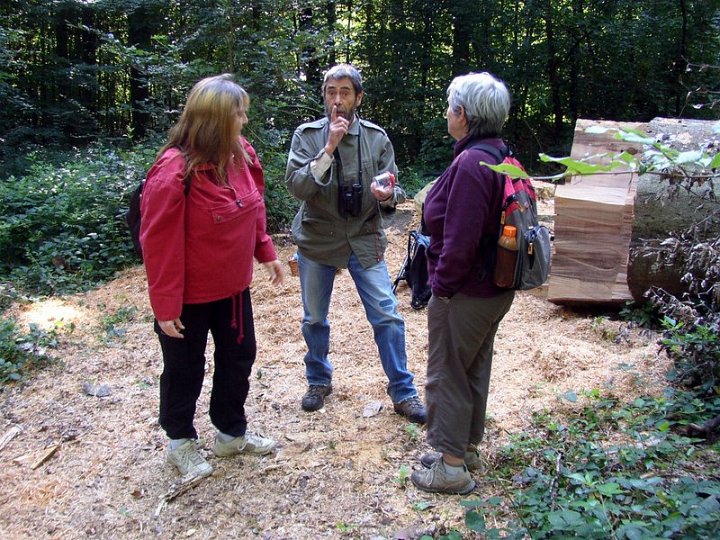 2011 07  Myco bois des Plainvaux 08